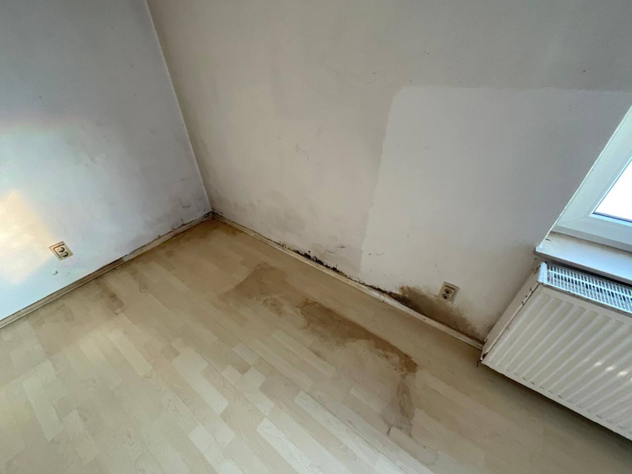 Schimmelbefall an der Sockelleiste im Wohnraum bei Heizkörper — typische Wärmebrücke